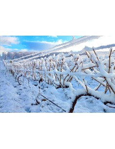 De Grendel Op Die Berg... 2
