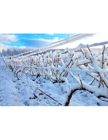 De Grendel Op Die Berg Chardonnay, 2024