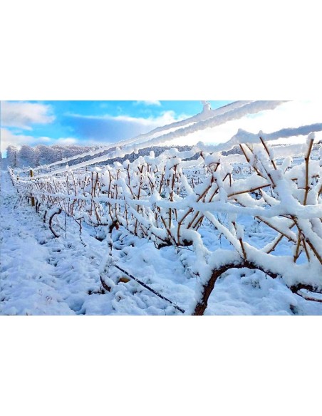 De Grendel Op Die Berg Chardonnay, 2024