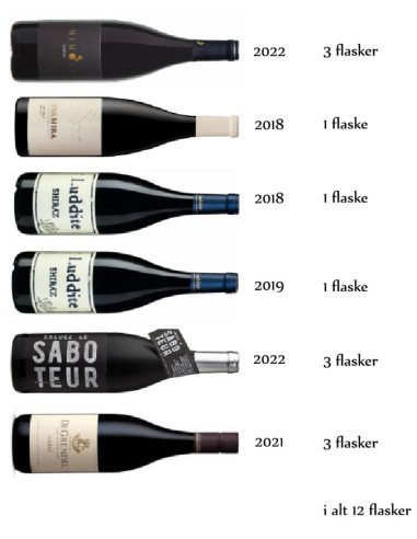 Shiraz MIX 12 fl.