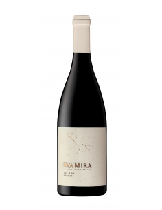 The Mira Shiraz