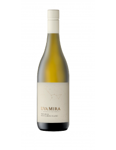 Sauvignon Blanc fra Uva Mira